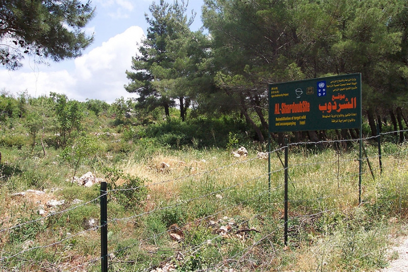 Programme sous-régional de lutte contre la désertification en Asie occidentale (PASR) réhabilitation des parcours dégradés