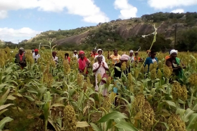 O Fundo de Construção de Resiliência do Zimbábue