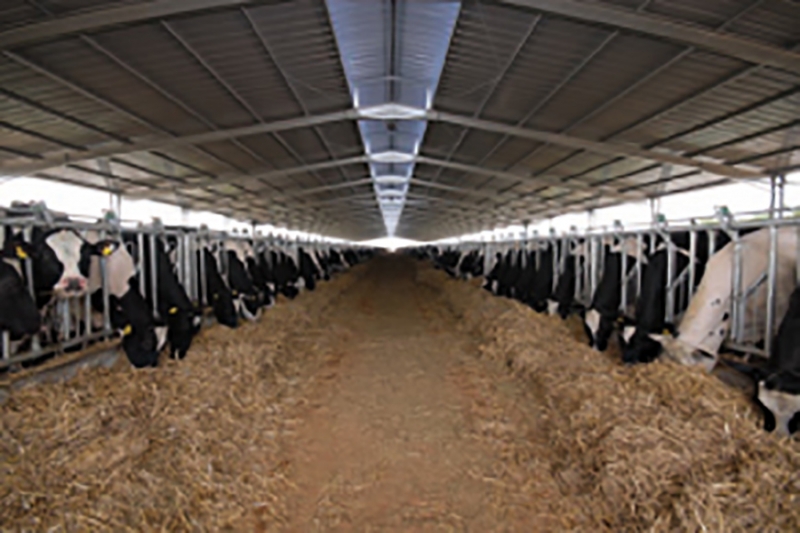 Le système national d&amp;#39;identification et de traçabilité des animaux (SNIT)