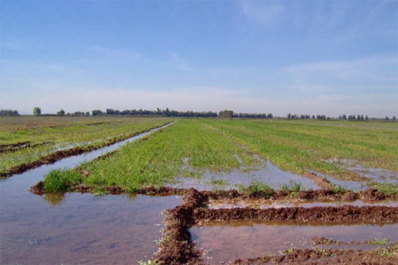 Деградация ирригация