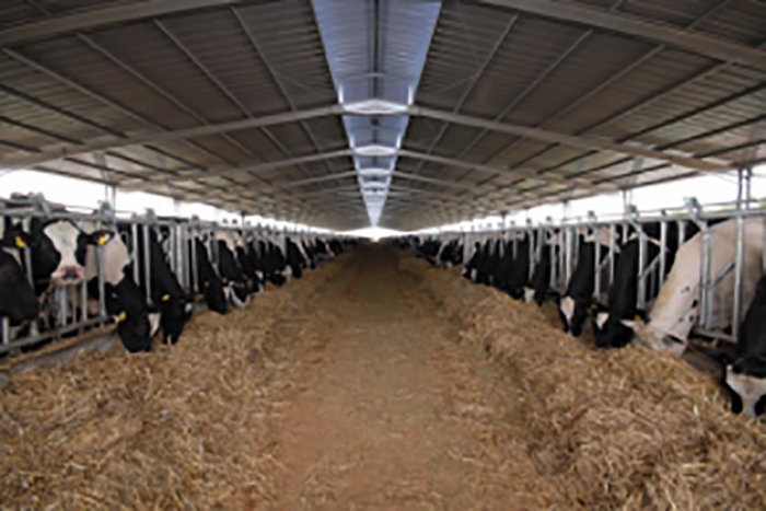 The National System of Identification and Animal traceability (SNIT)