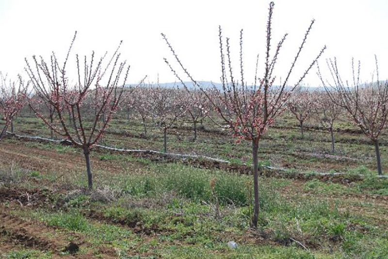 Trousse d&#039;information en ligne pour l&#039;accès au financement (Instrument d&#039;aide de préadhésion pour le développement rural (IPARD) en Macédoine