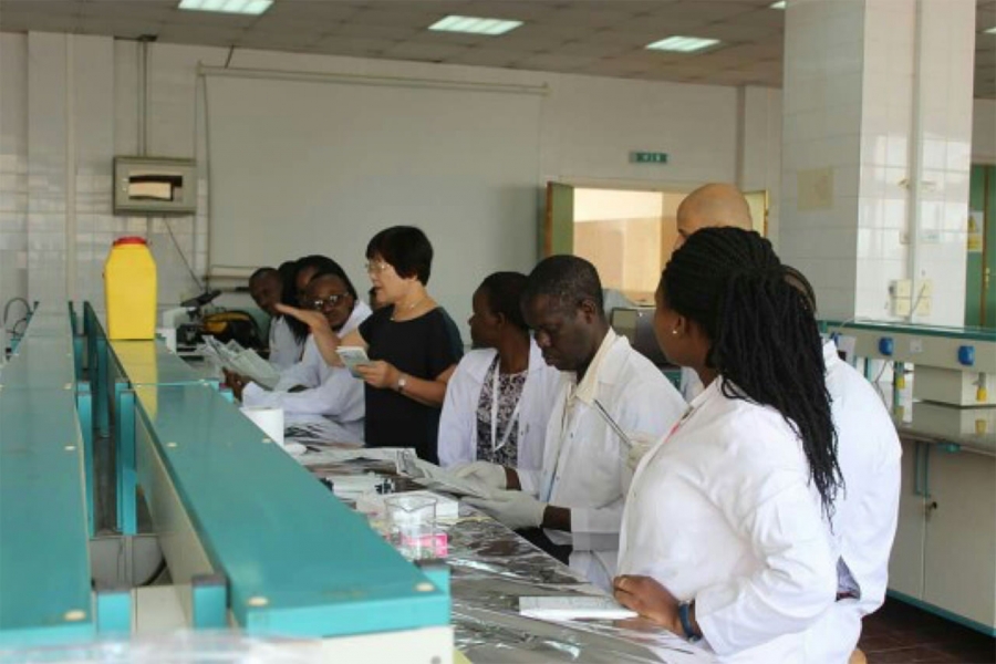 Construindo Resiliência às Doenças Infecciosas: Diagnóstico Clínico e Laboratorial