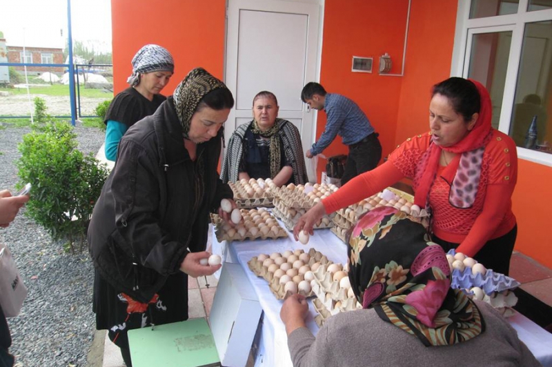 Проект сельских инвестиций Азербайджана / AzRIP