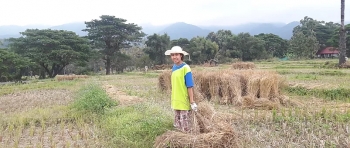Fang Thai’s rice straw paper