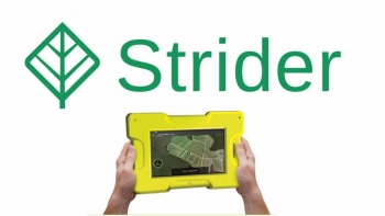 Strider