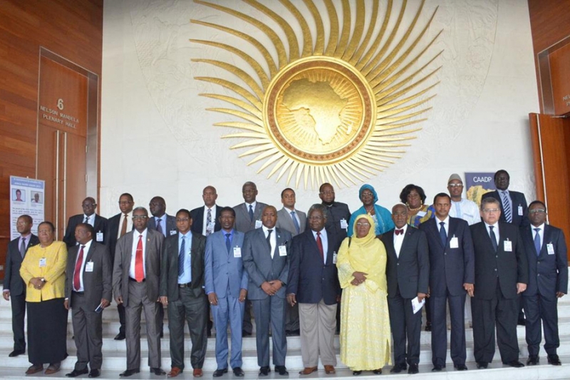 Première réunion du comité technique spécialisé sur la science et la technologie de l'éducation (STC-EST)