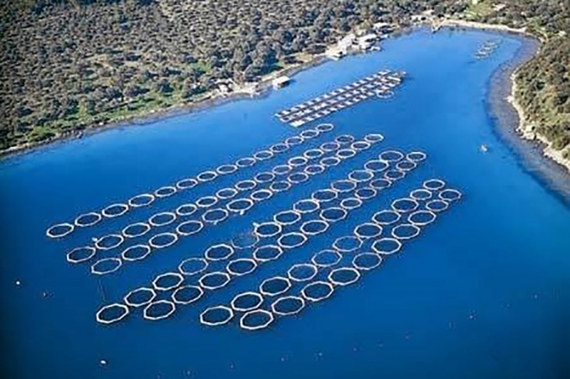 Renforcement des capacités de l&amp;#39;aquaculture en Turquie