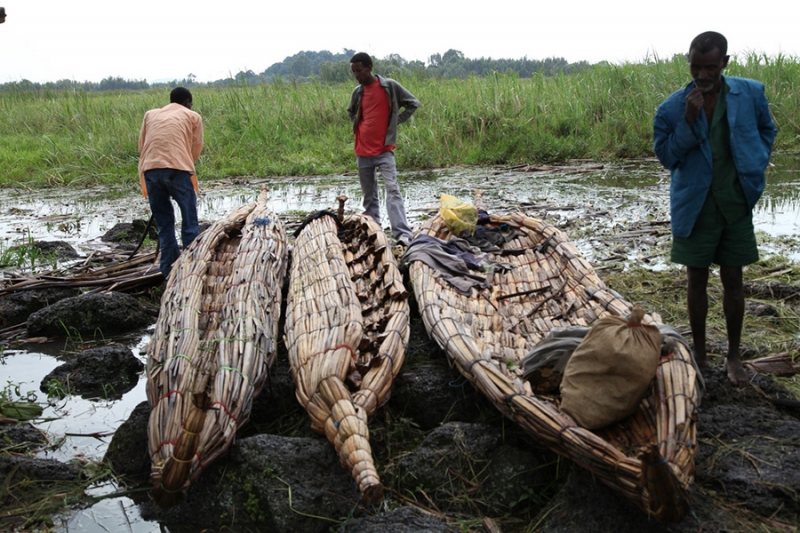 Rede de Desenvolvimento da Rede de Capacitação da Bacia do Nilo (NBCBN): Egito