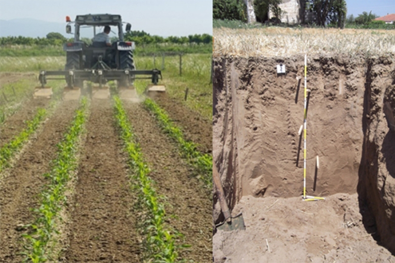 PPP dans l&#039;agriculture: Direction générale de la recherche et des politiques agricoles (TAGEM)