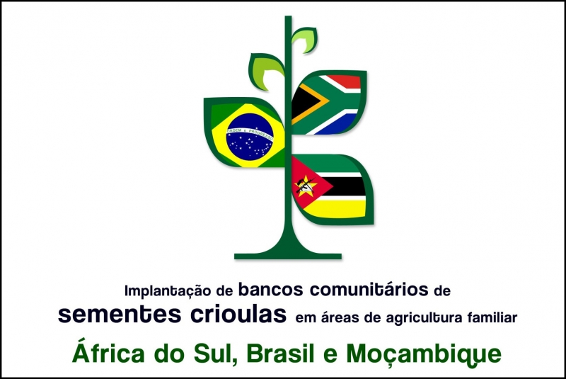 Bancos comunitários de sementes crioulas para a agricultura familiar