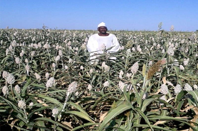 Agriculture et récolte de l&#039;eau