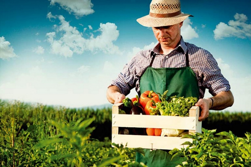 &quot;Ecaeja&quot; Farmers and organic food in Belarus
