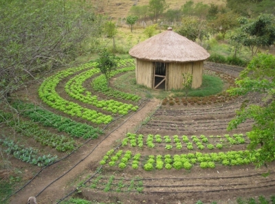 Apoio ao desenvolvimento do Programa PAIS (Produção Agroecológica Integrada e Sustentável) no Senegal