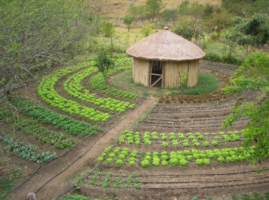 Apoio ao desenvolvimento do Programa PAIS (Produção Agroecológica Integrada e Sustentável) no Senegal